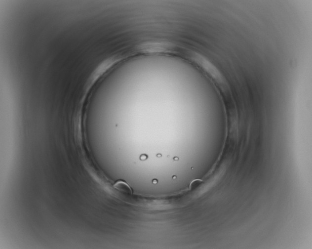 X0000113750986200910071102