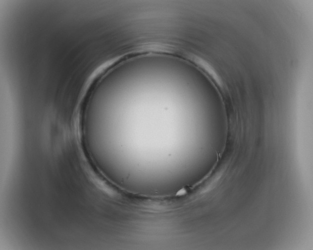 X0000113750987200910071102