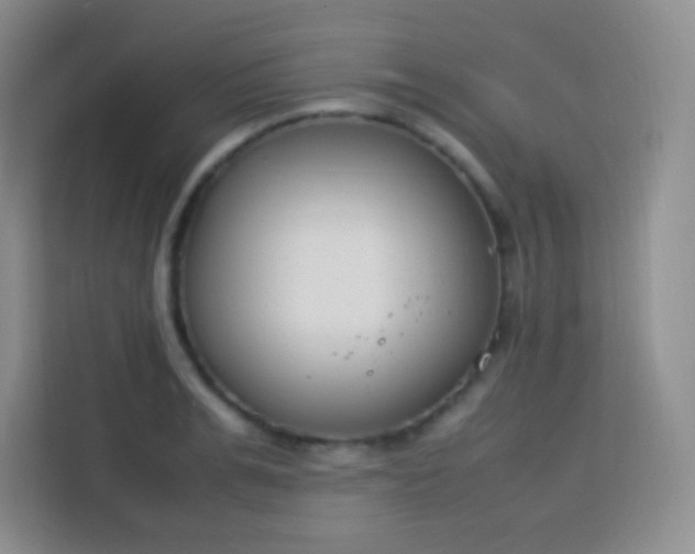 X0000113750991200910071102