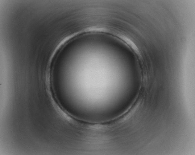 X0000113750992200910071102