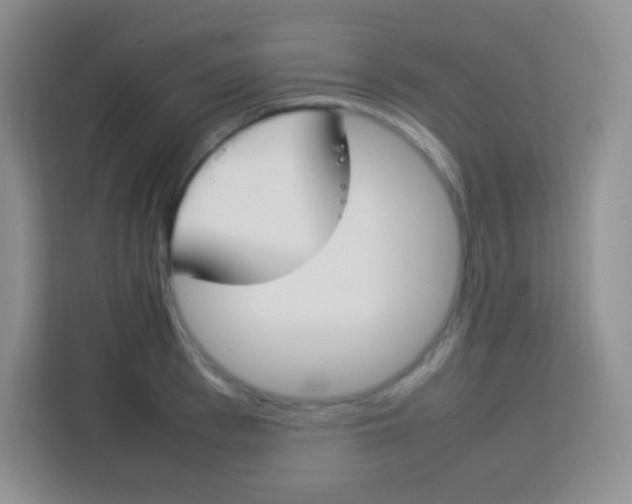 X0000113750993200910071102