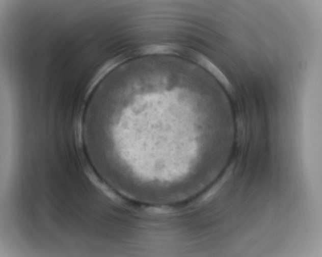 X0000113750994200910071102