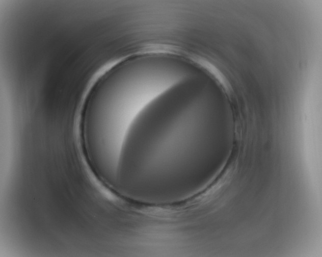 X0000113750995200910071102