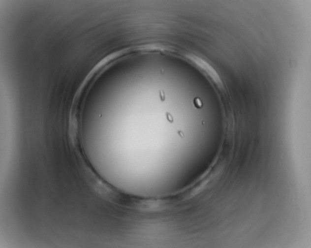 X0000113751000200910071102