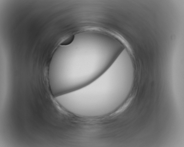 X0000113751001200910071102