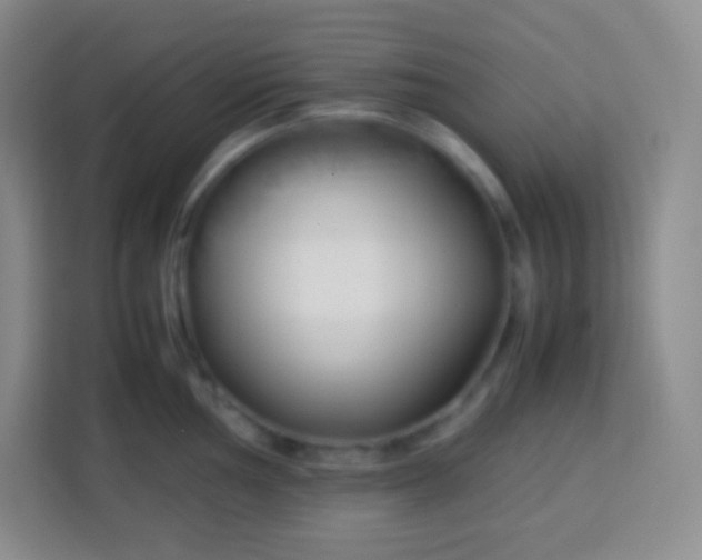 X0000113751002200910071102