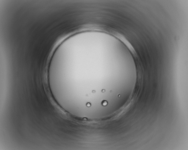 X0000113751004200910071102