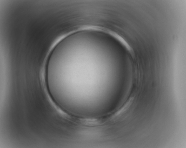 X0000113751007200910071102