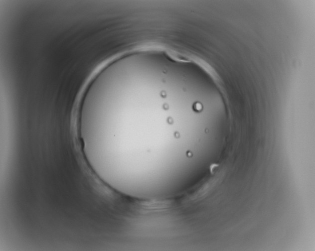 X0000113751008200910071102