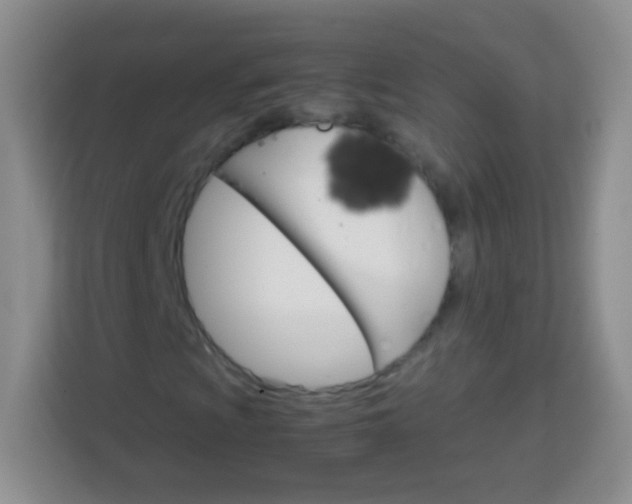 X0000113751009200910071102