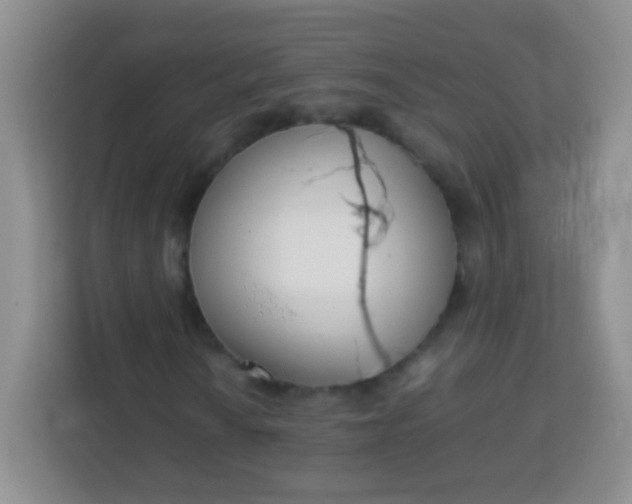 X0000113751010200910071102