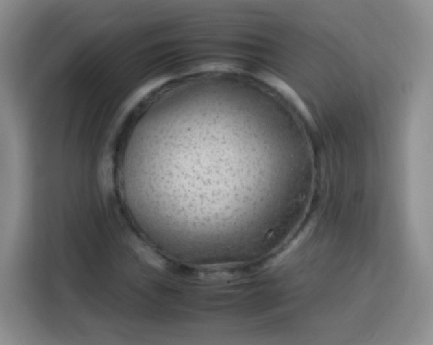 X0000113751019200910071102