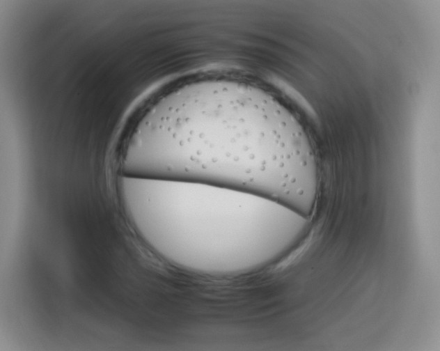 X0000113751021200910071102