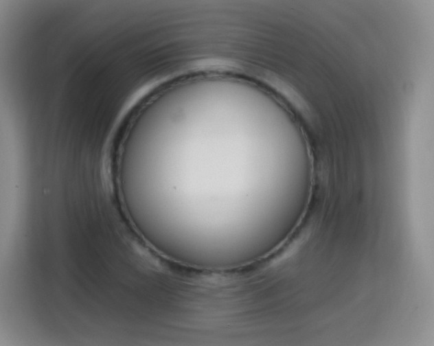 X0000113751022200910071102