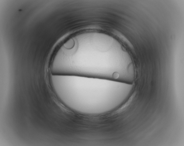 X0000113751029200910071102