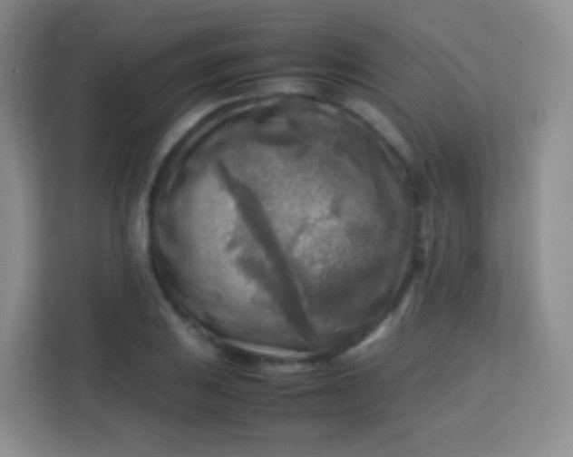 X0000113751031200910071102