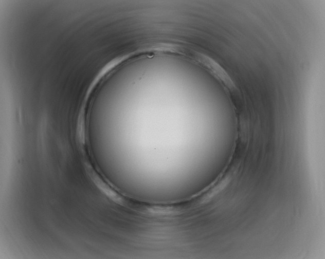 X0000113751036200910071102