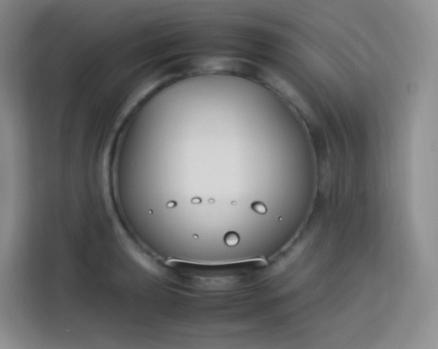 X0000113751039200910071102