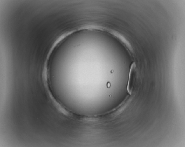 X0000113751040200910071102