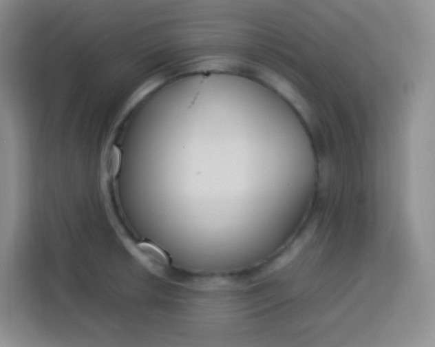 X0000113751042200910071102