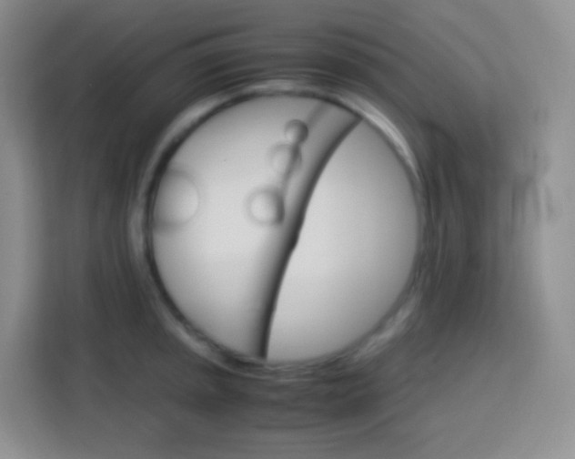 X0000113751045200910071102