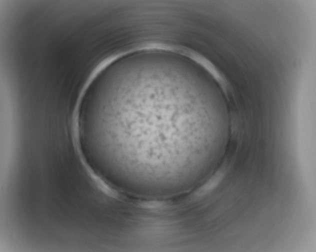 X0000113751048200910071102