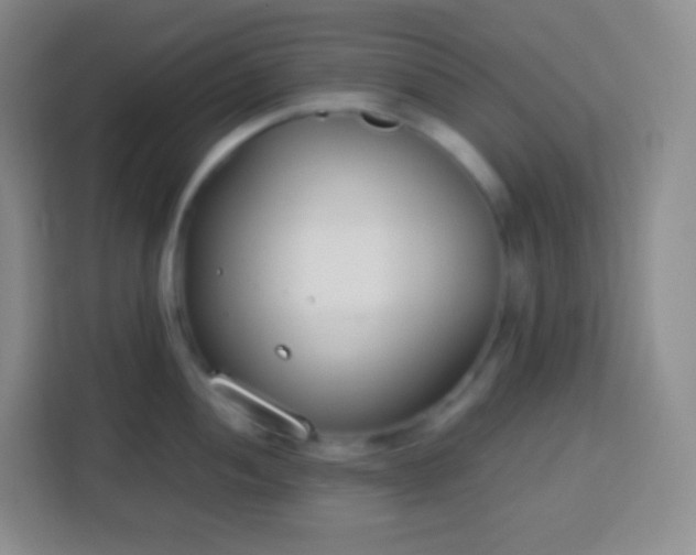 X0000113751052200910071102