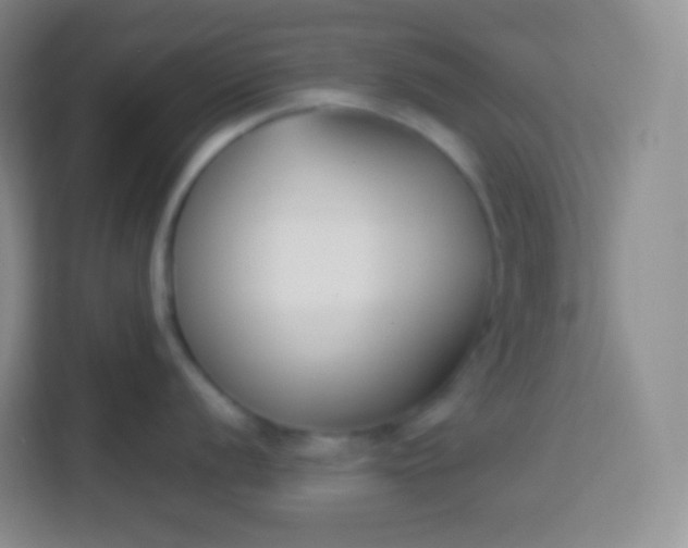 X0000113751056200910071102