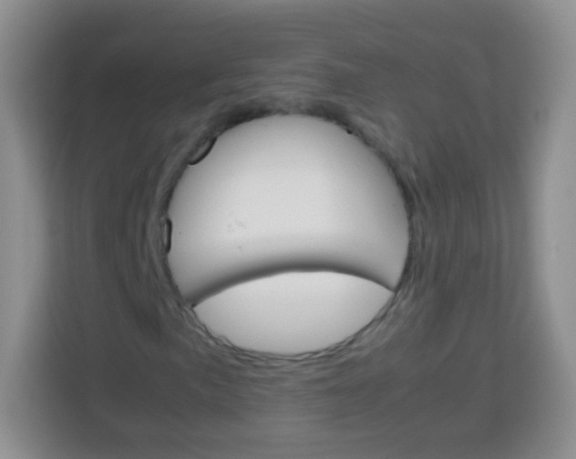 X0000113751057200910071101