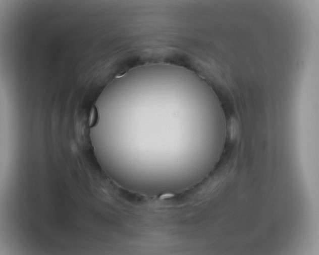 X0000113751059200910071101