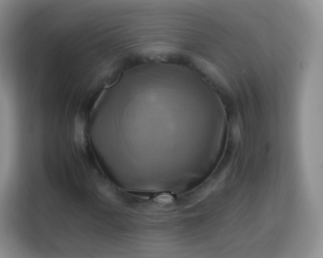 X0000113751060200910071101