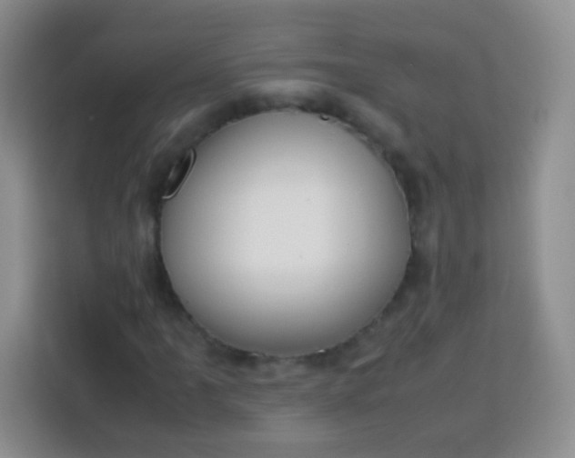 X0000113751061200910071101