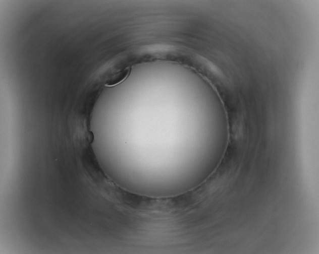 X0000113751062200910071101