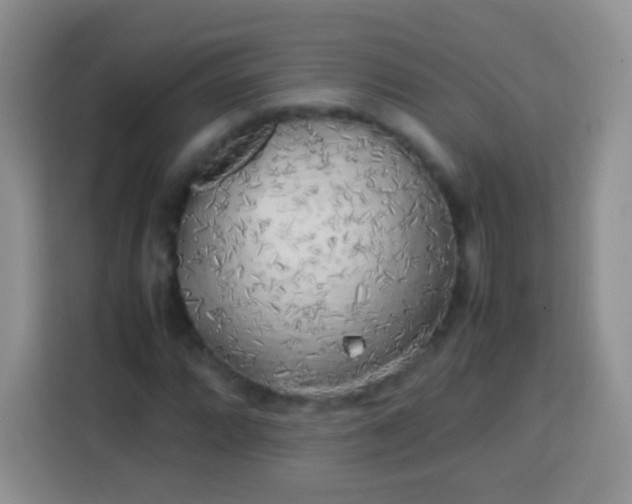 X0000113751064200910071101