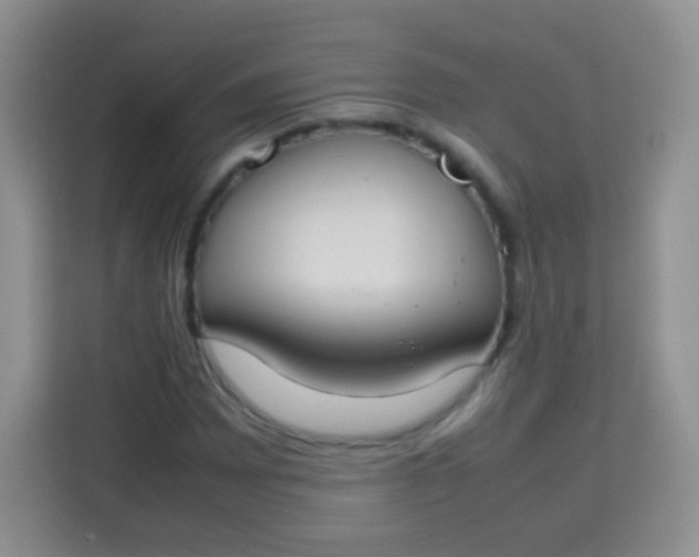 X0000113751065200910071101