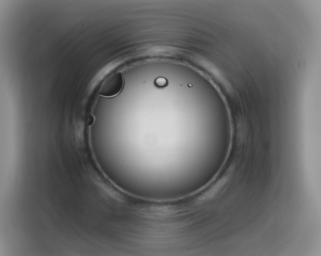 X0000113751066200910071101