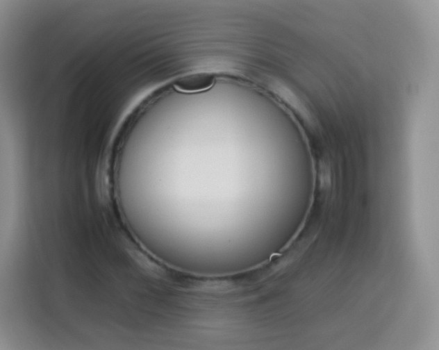 X0000113751068200910071101