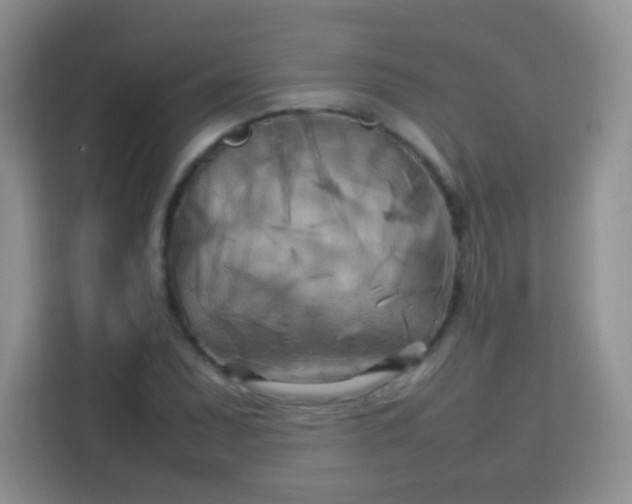 X0000113751071200910071101