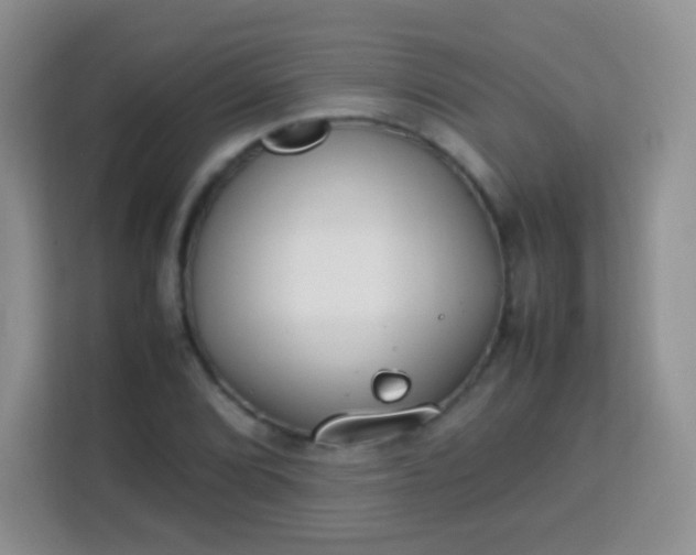 X0000113751072200910071101