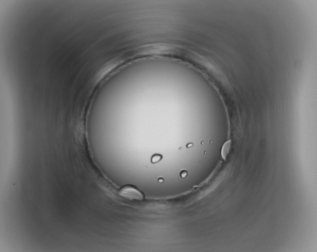 X0000113751073200910071101