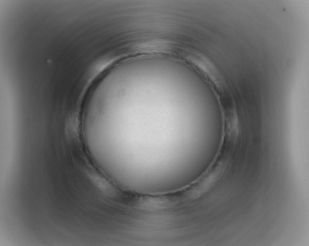 X0000113751074200910071101