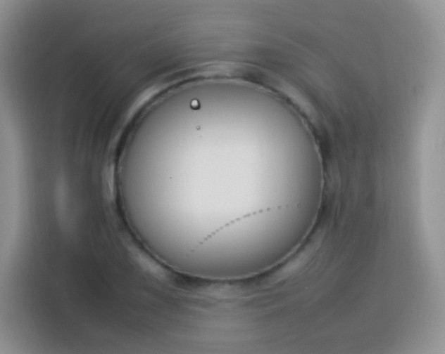 X0000113751075200910071101