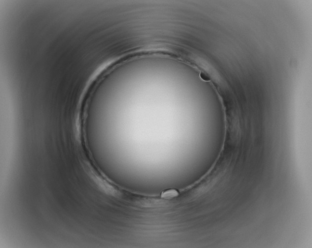 X0000113751076200910071101