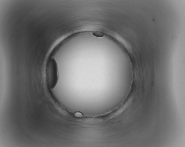 X0000113751077200910071101