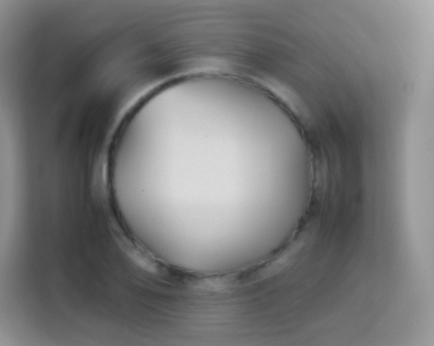 X0000113751078200910071101