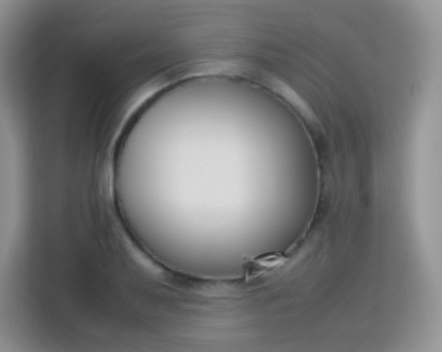 X0000113751079200910071101