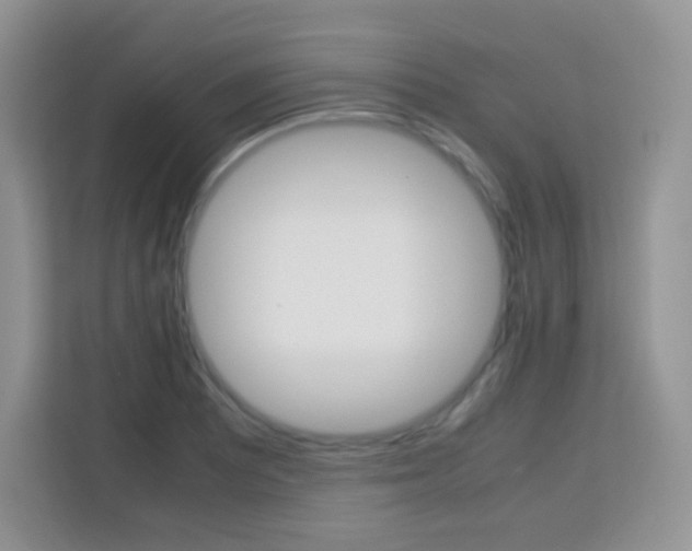 X0000113751081200910071101