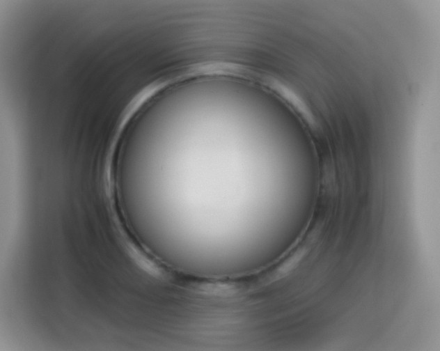 X0000113751082200910071101