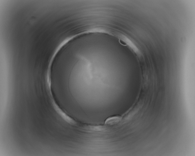 X0000113751084200910071101