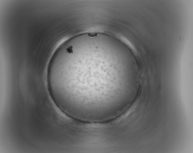 X0000113751087200910071101